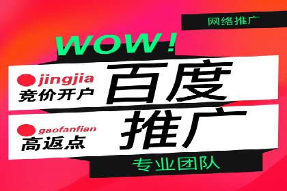 百度竞价赚钱技巧：实战案例分析